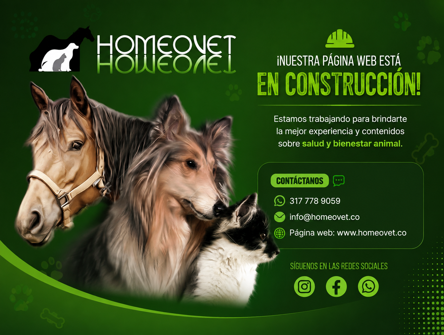 Homeovet - Nuestra página web está en construcción. Contacto: 317 778 9059, info@homeovet.co y www.homeovet.co