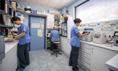 Laboratorio Clínico Veterinario