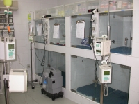 Hospitalización Veterinaria